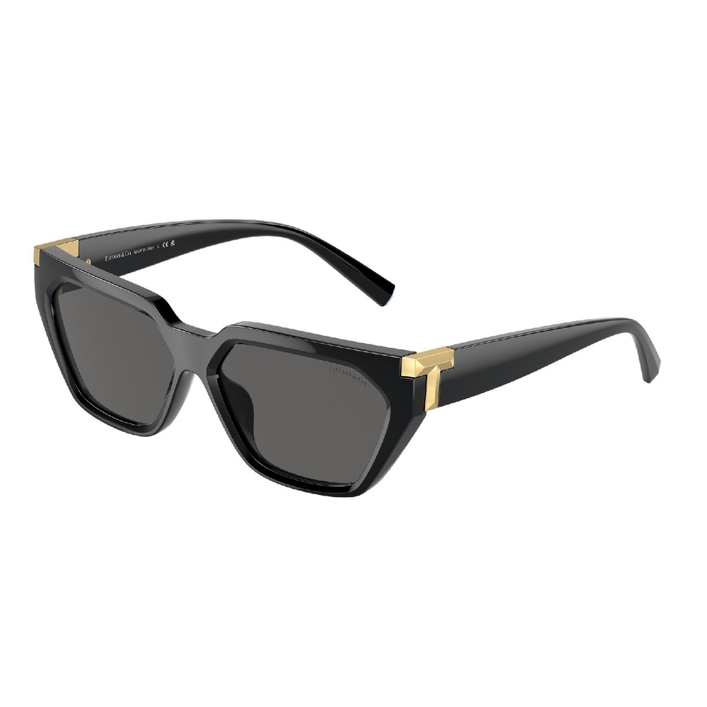Óculos de Sol TF4205U-8001S4-56 Tiffany & Co Irregular Preto Injetado