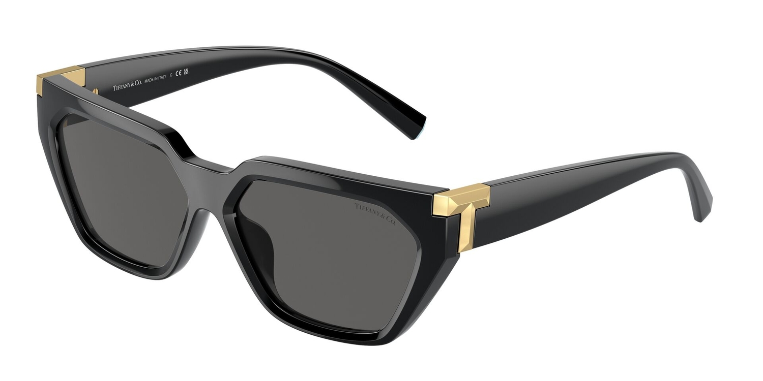 Óculos de Sol TF4205U-8001S4-56 Tiffany & Co Irregular Preto Injetado