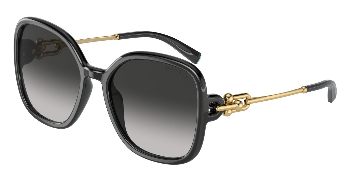 Óculos de Sol TF4202U-80013C-57 Tiffany & Co Quadrado Preto Injetado