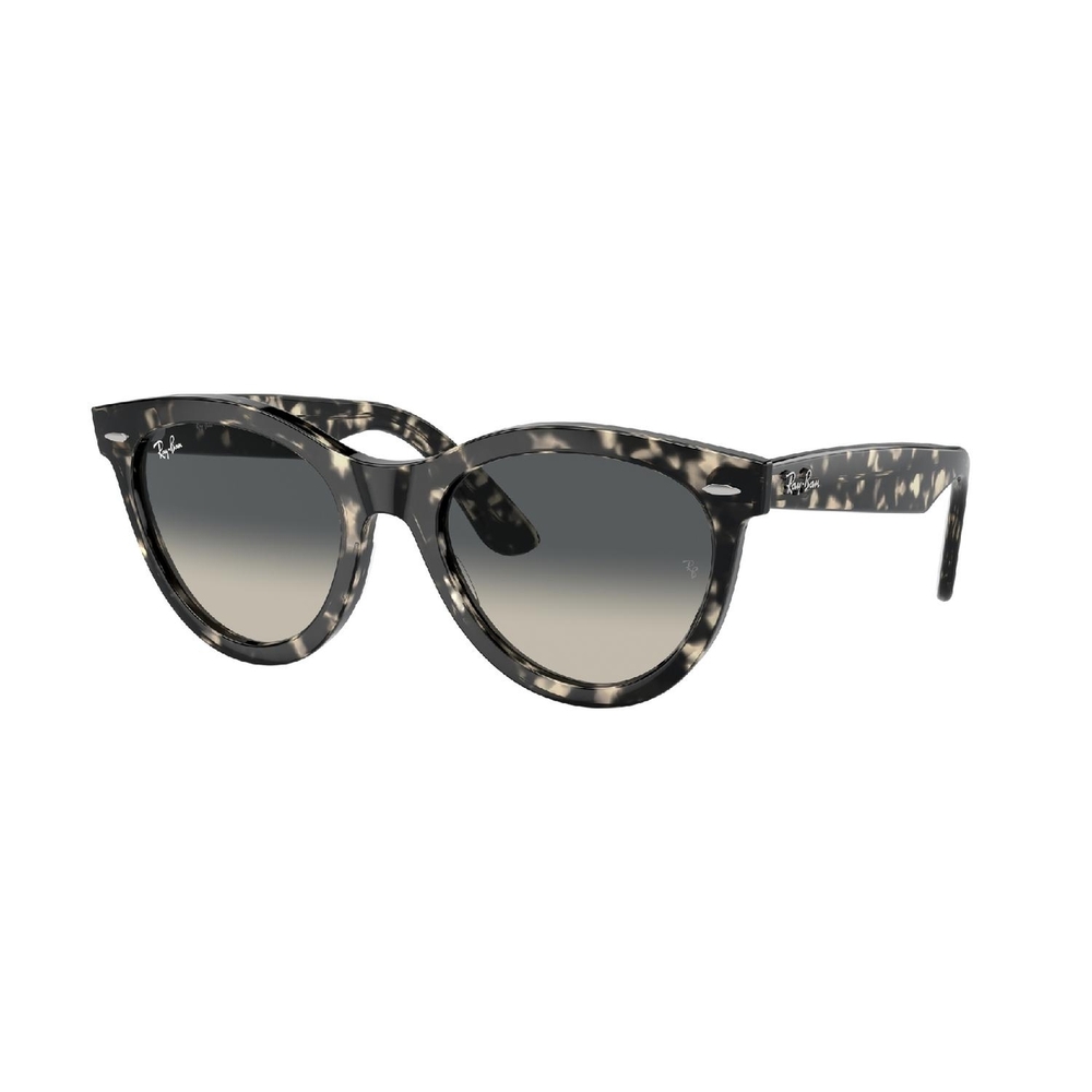 Óculos de Sol RB2241-133371-54 Ray Ban Redondo Tartaruga Propionato
