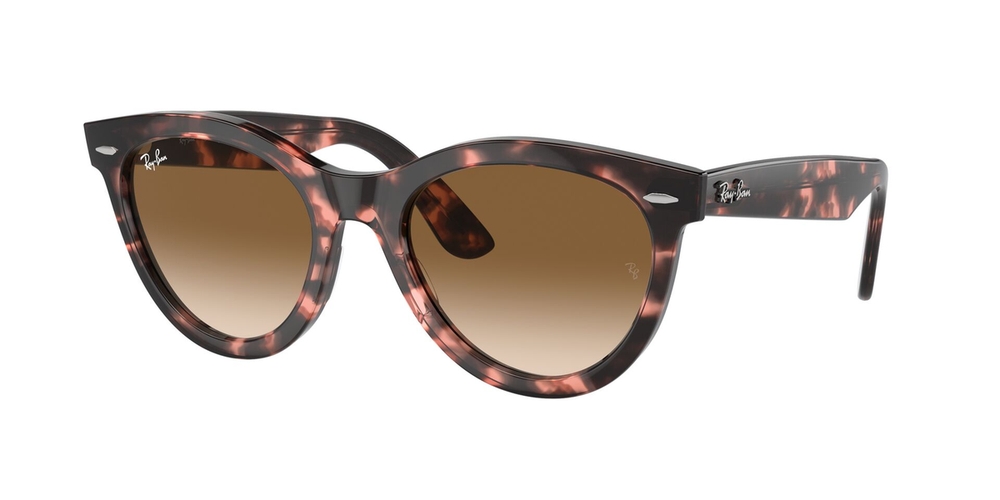 Óculos de Sol RB2241-133451-54 Ray Ban Redondo Tartaruga Propionato