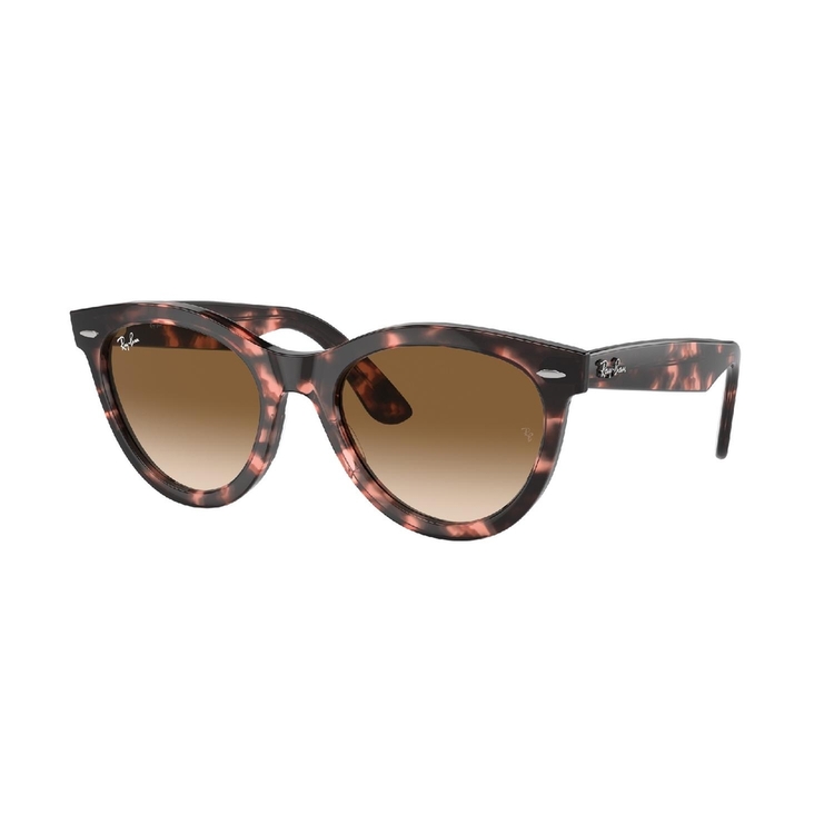 Óculos de Sol RB2241-133451-54 Ray Ban Redondo Tartaruga Propionato