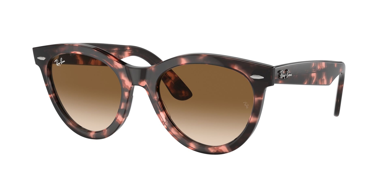 Óculos de Sol RB2241-133451-54 Ray Ban Redondo Tartaruga Propionato