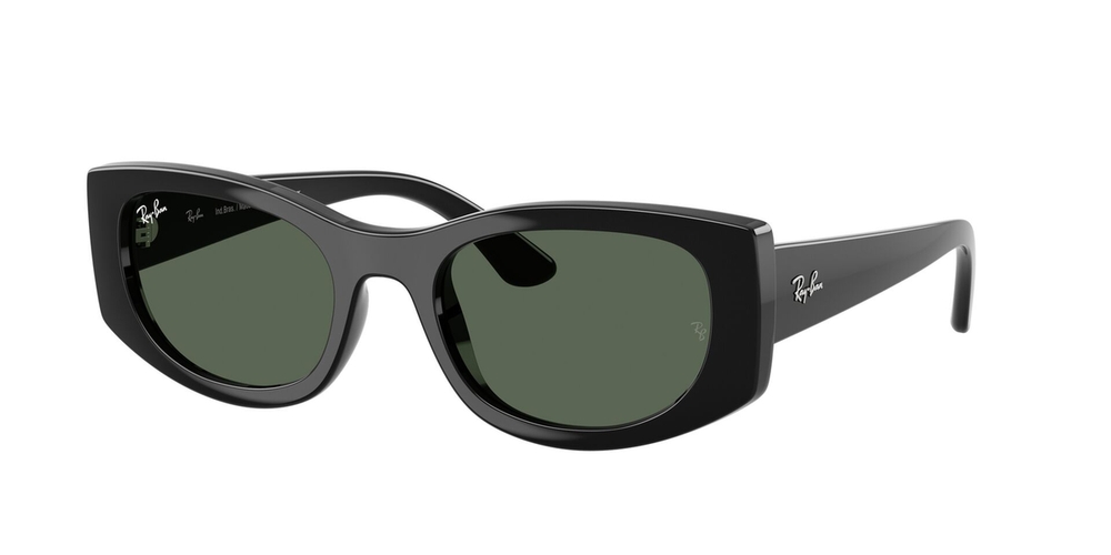 Óculos de Sol RB4446L-667771-54 Ray Ban Oval Preto Injetado