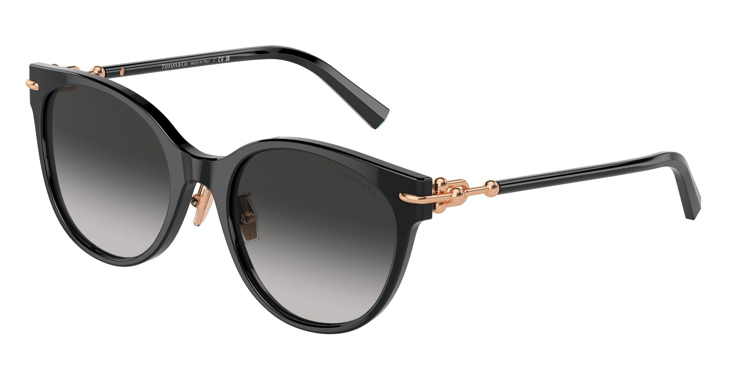 Óculos de Sol TF4223D-80013C-54 Tiffany & Co Gatinho Preto Acetato