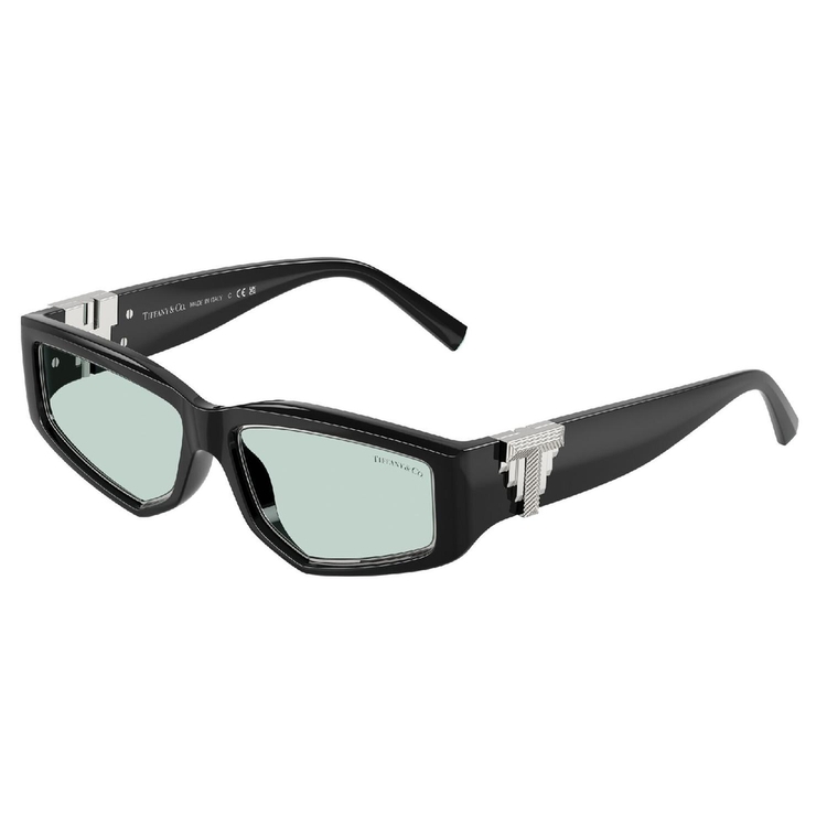 Óculos de Sol TF4234U-8001D9-55 Tiffany & Co Irregular Preto Injetado