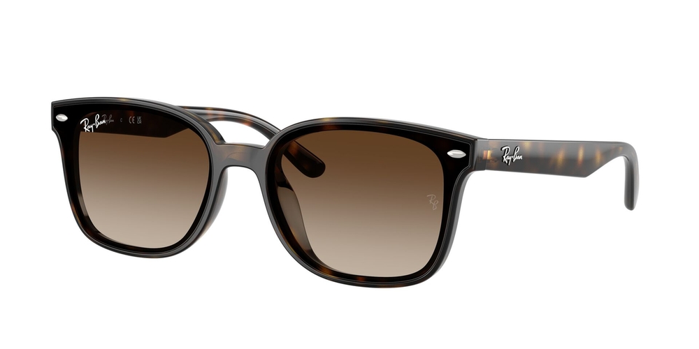 Óculos de Sol RB4461D-71013-64 Ray Ban Retangular Tartaruga Náilon