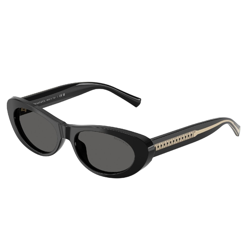 Óculos de Sol TF4236U-8001S4-55 Tiffany & Co Oval Preto Acetato