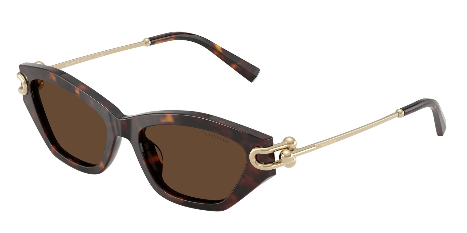 Óculos de Sol TF4231U-80153G-53 Tiffany & Co Gatinho Tartaruga Acetato