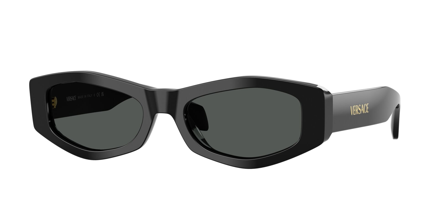Óculos de Sol VE4487-GB187-54 Versace Irregular Preto Acetato