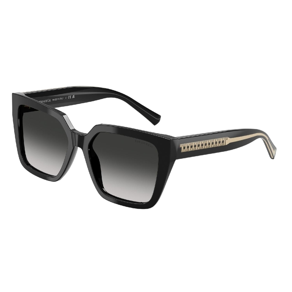 Óculos de Sol TF4235-80013C-55 Tiffany & Co Quadrado Preto Acetato