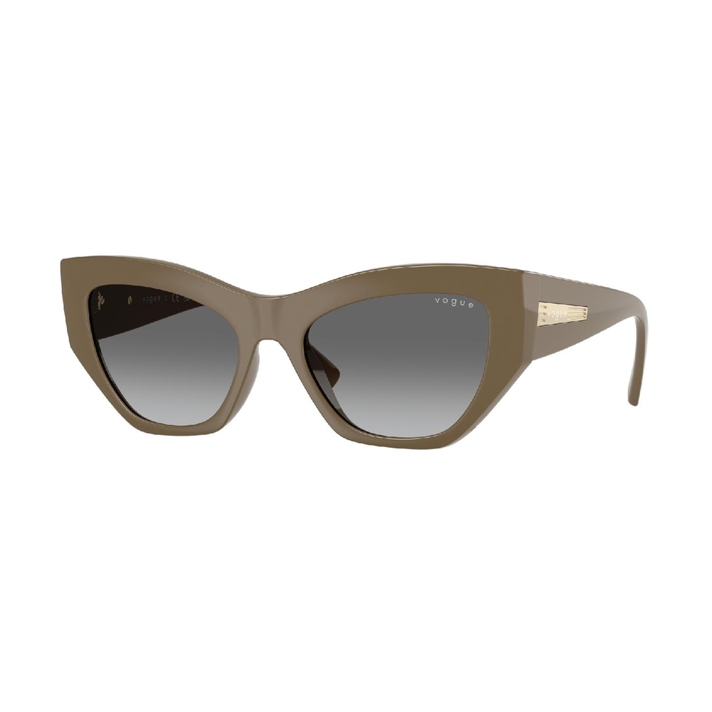 Óculos de Sol VO5607S-317511-53 Vogue Irregular Marrom Náilon