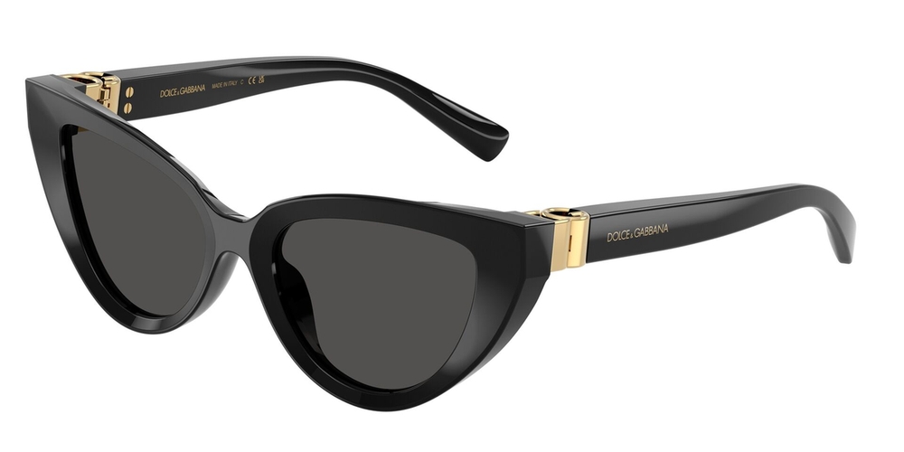 Óculos de Sol DG4497-50187-52 Dolce & Gabbana Gatinho Preto Acetato