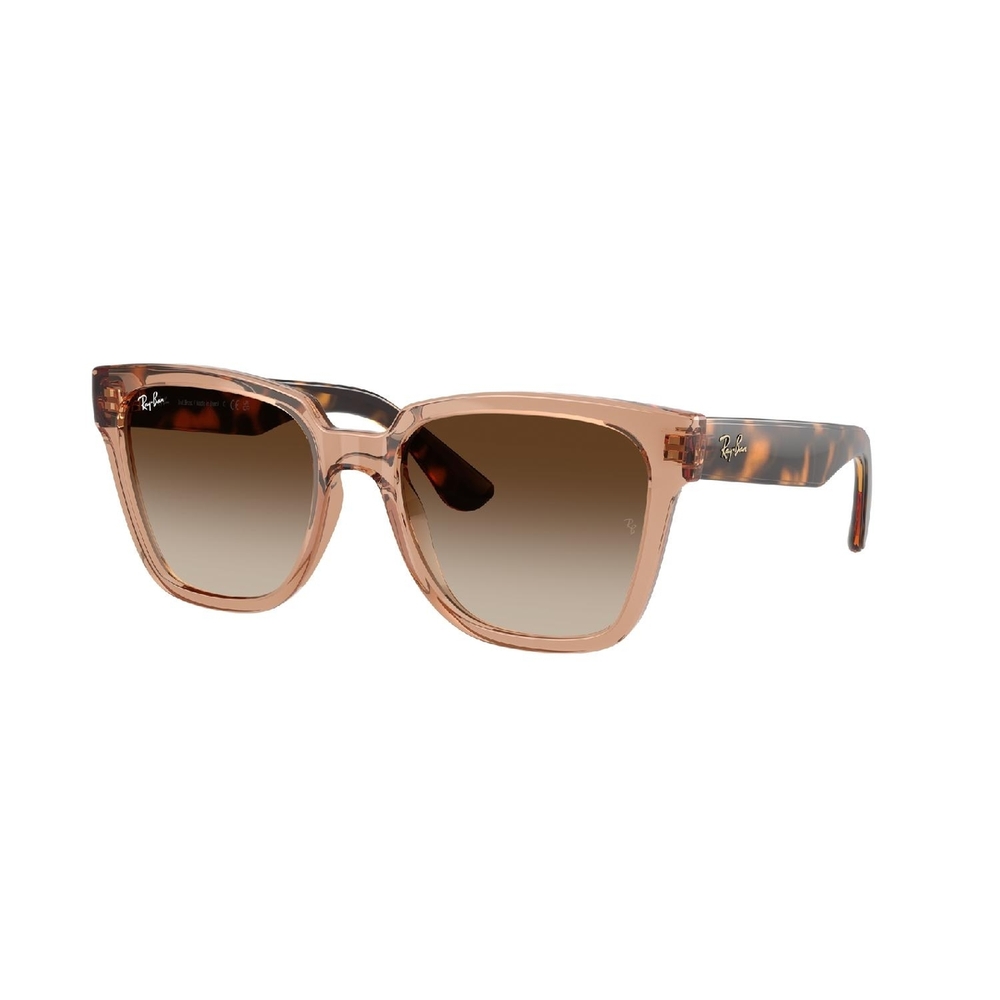 Óculos de Sol RB4437L-656513-55 Ray Ban Quadrado Marrom Injetado
