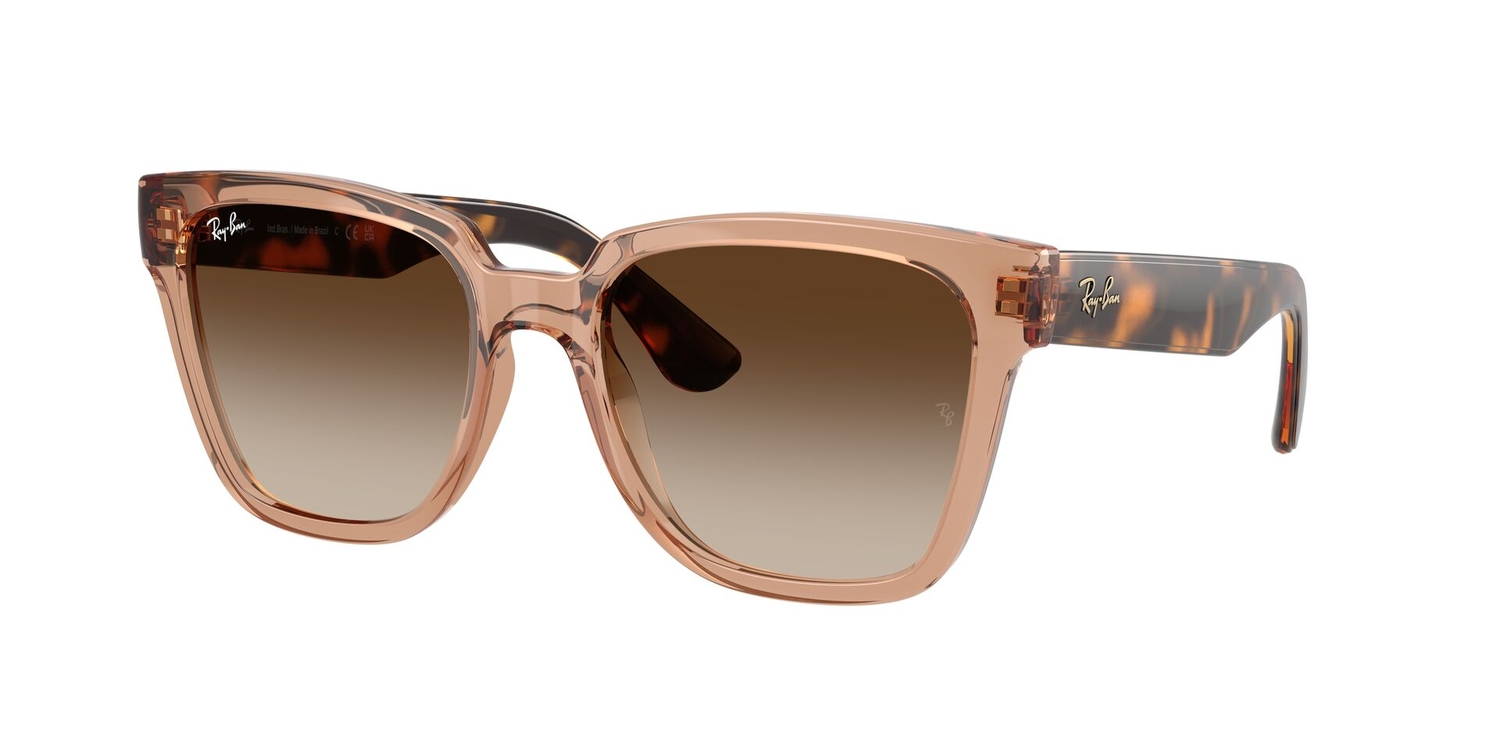 Óculos de Sol RB4437L-656513-55 Ray Ban Quadrado Marrom Injetado