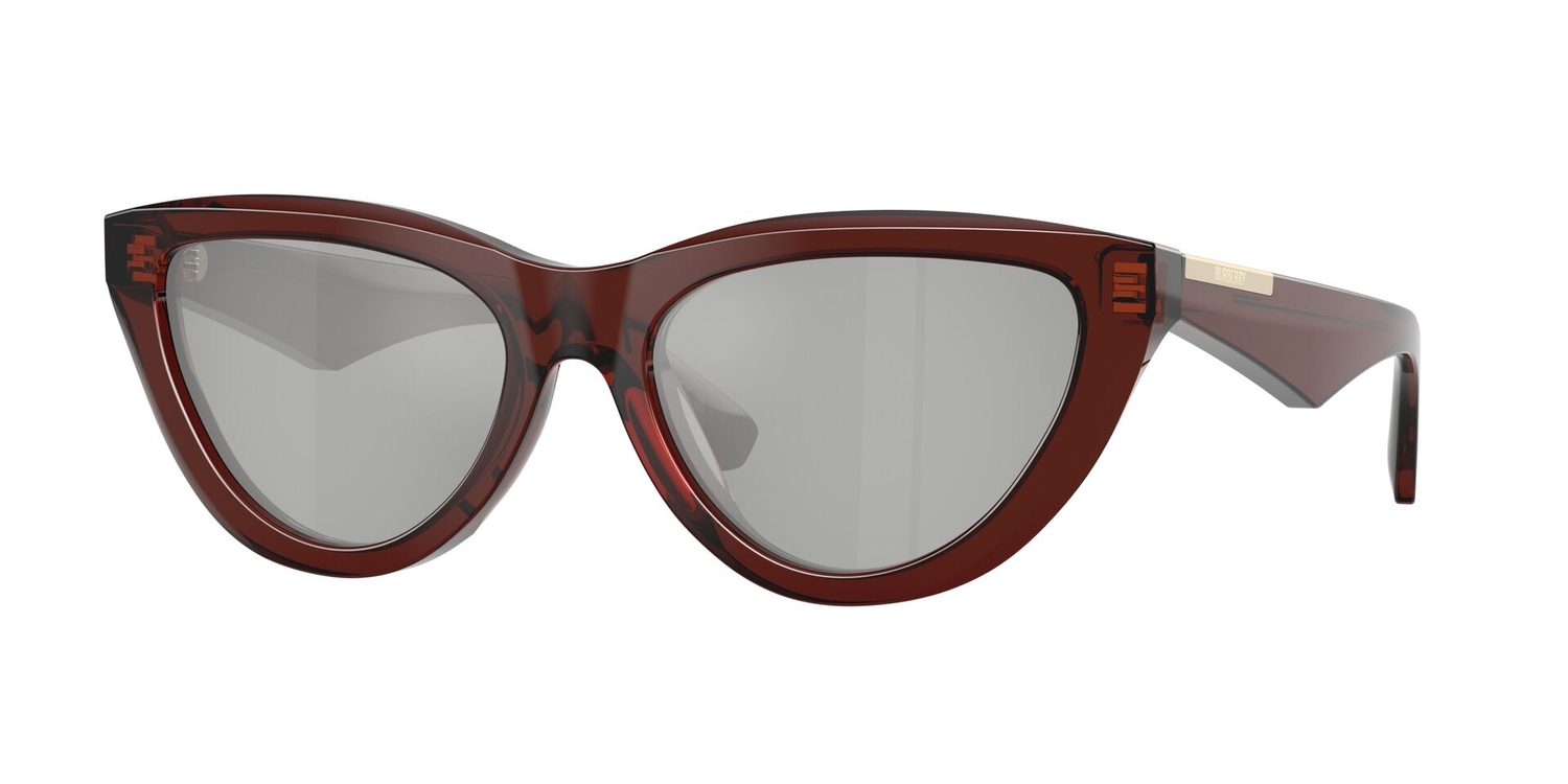Óculos de Sol BE4436U-41448V-55 Burberry Gatinho Marrom Acetato