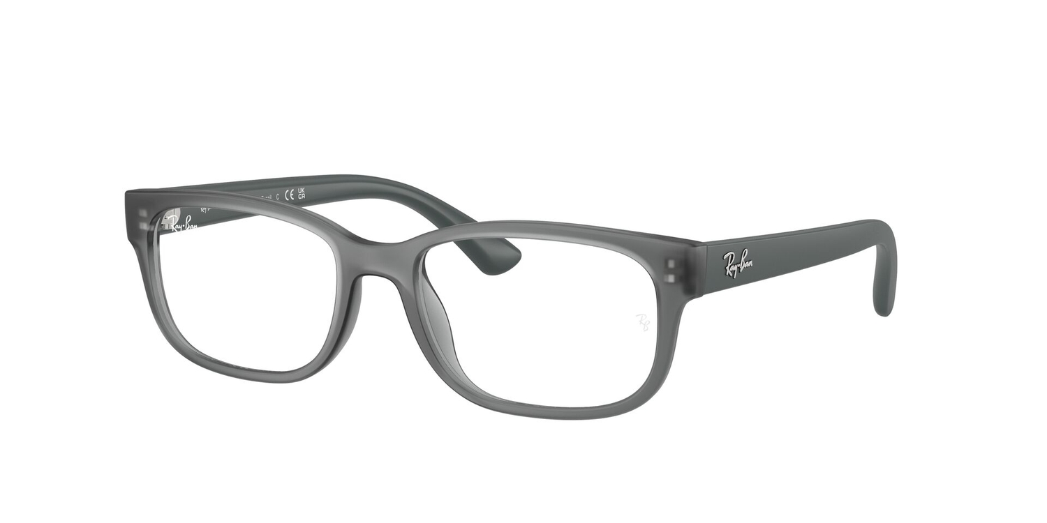 Armação de Óculos de Grau RY1640L-3894-51 Ray Ban Jr Retangular Cinza Injetado