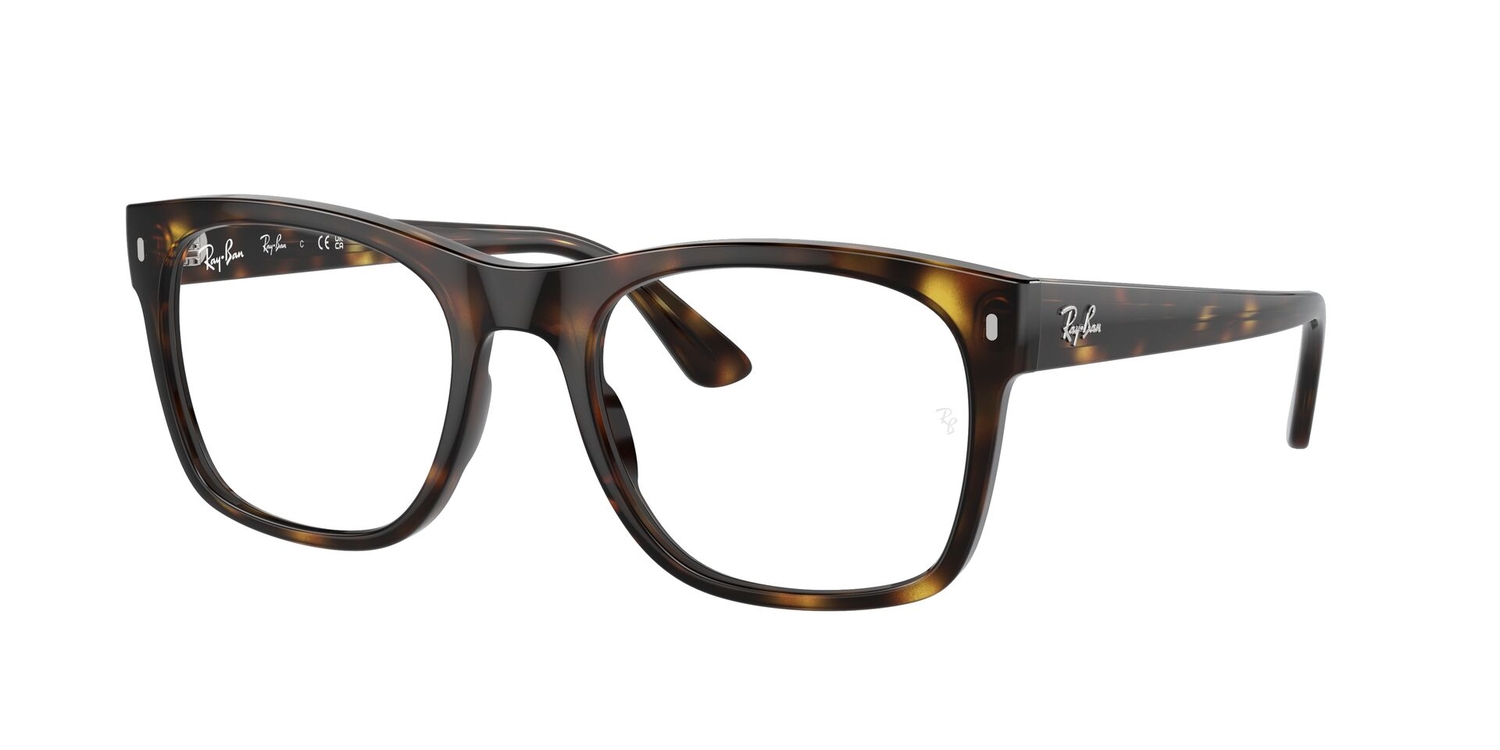 Armação de Óculos de Grau RX7228-2012-55 Ray Ban Quadrado Tartaruga Propionato
